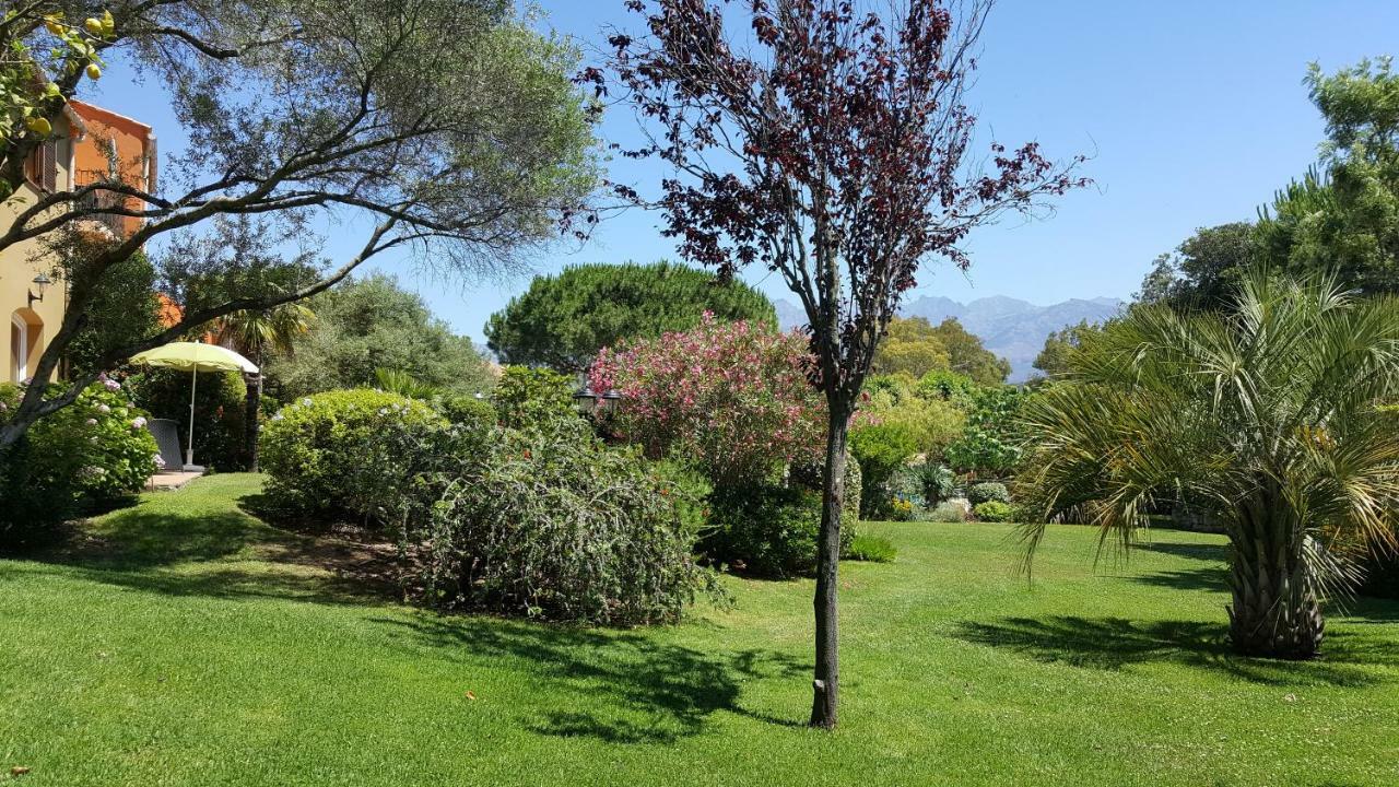 Residence A Merula Calvi  Dış mekan fotoğraf